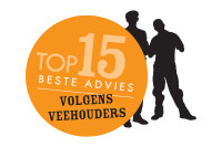 V-focus-Top-15-Beste-Advies