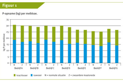 Gerelateerd-4